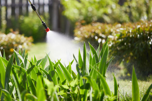 24/7 Emergency Mosquito Control experts in Killen, AL